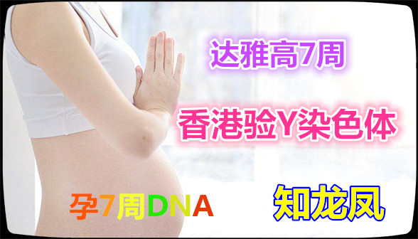 香港DNA查胎儿多久可以知道结果：爱了