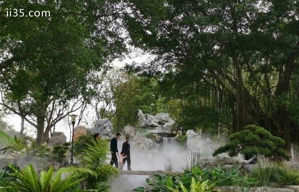 东莞植物园景点介绍 东莞植物园有什么好玩的-驻足一刻，优雅享受