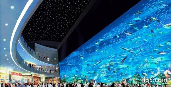 世界十大水族馆排名，中国一家上榜！