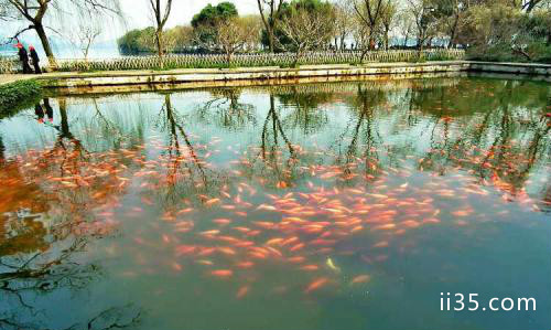 浙江杭州西湖十大景点盘点——舒缓的不止有脚，还有心情