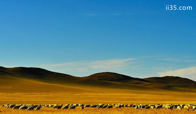 内蒙古十大旅游景点 领略别样的蒙古风情：满满的都是爱