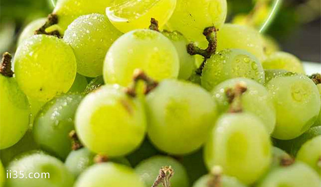 十大葡萄品种大全 中国最好吃的葡萄排名：目之所及全是温柔