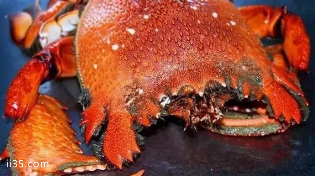 全球十大顶级海鲜排名 澳洲帝王蟹体重可达75斤——来一次爽一次 爽一次来一次