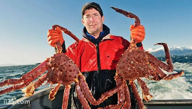 全球十大顶级海鲜排名 澳洲帝王蟹体重可达75斤——来一次爽一次 爽一次来一次