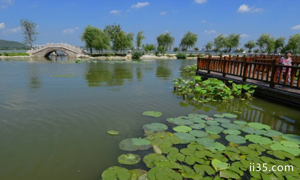 江苏十大旅游景点：廋西湖上榜，记录年轻的美好
