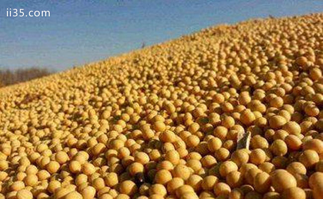 世界大豆产量排名 中国大豆的产量居然不是第一-让您足够温暖
