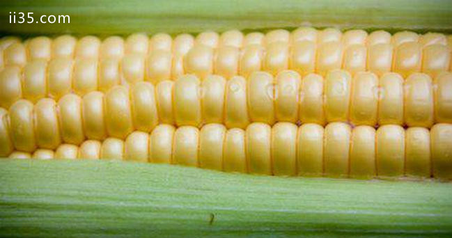 世界玉米产量排行 美国玉米的产量最高，浴足让生活更美好