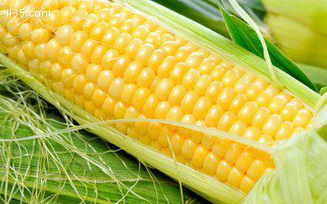 世界玉米产量排行 美国玉米的产量最高，浴足让生活更美好